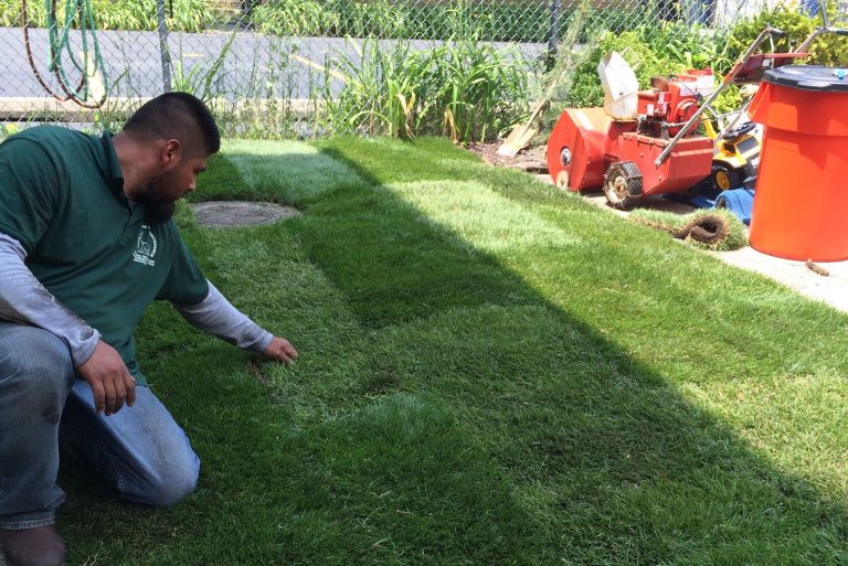 highland park landscaping