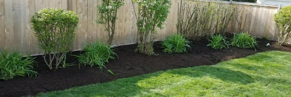 Your lawn and landscape
the way that it should